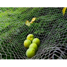 Haut niveau vente chaude olive net pour l&#39;italie